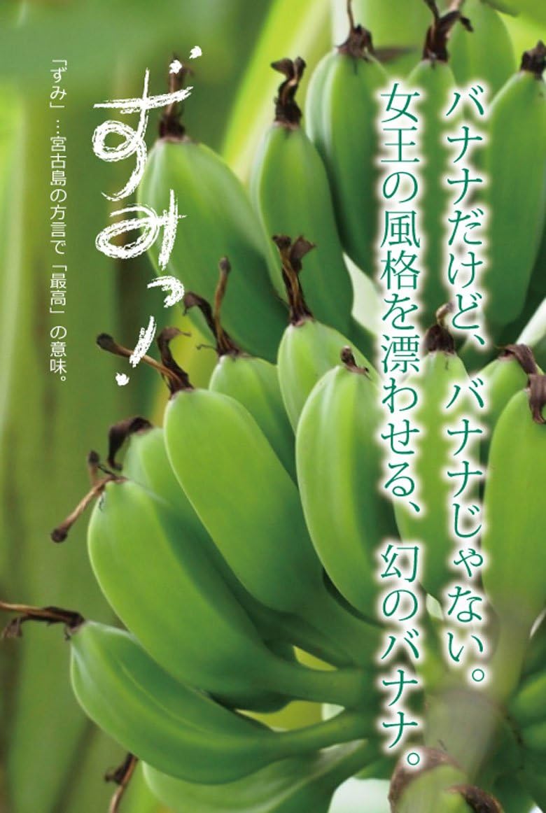 市場 モンキーバナナ 箱入り 夜の八百屋さん