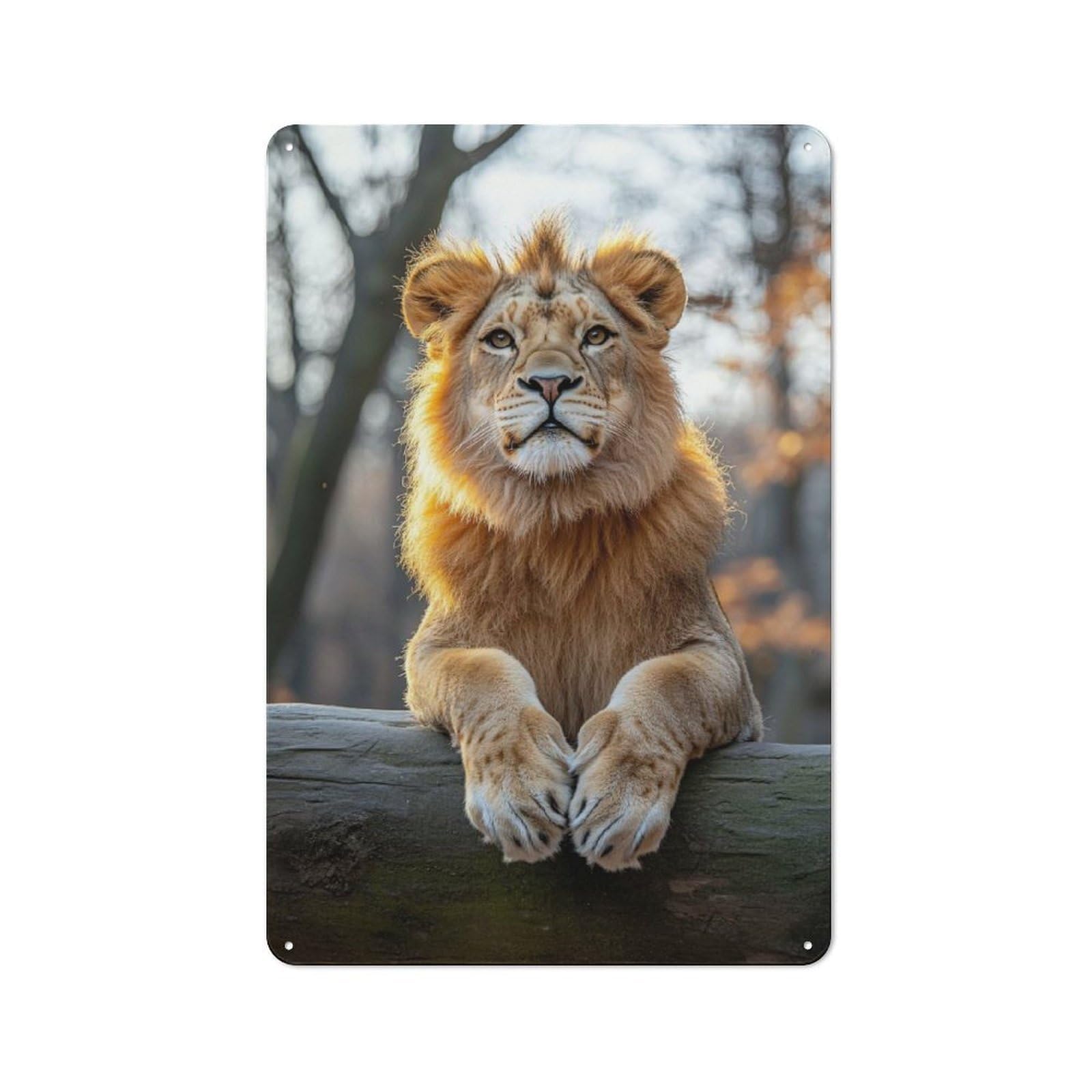 Junmoney Style-18 Young Lion Portrait On A Log Rustic Tin Wall Plaque 30X20cm For Hobby Room Or Studio, A New Home Present For Creative Interior Collectors