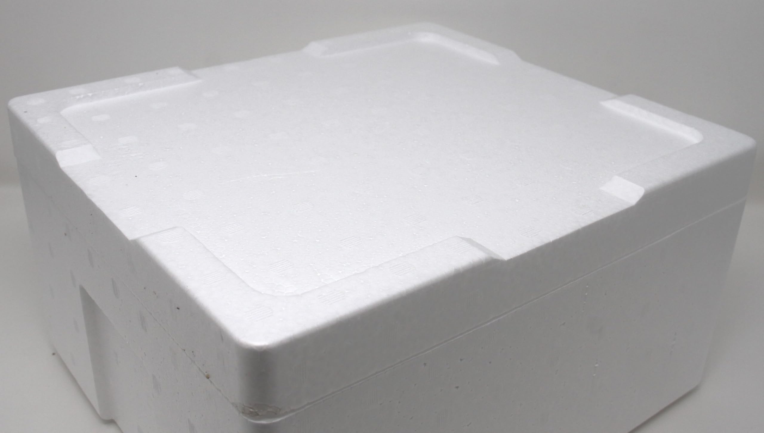 Amazon.co.jp: [梱包資材]高密度 発砲スチロール 80サイズ 外寸310×273