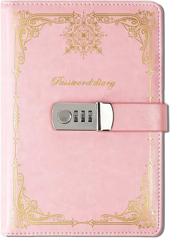 Amazon.ca diary with lock combination