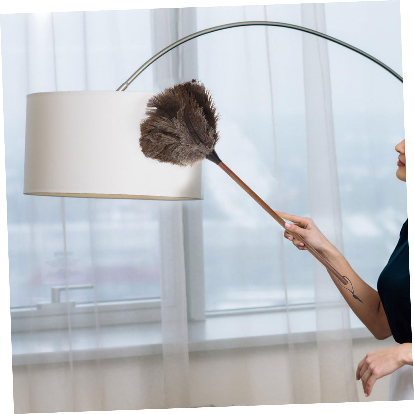 Plumero De Plumas De Avestruz Negro Mango De Nogal Mate, Herramienta De Limpieza Para Hogar, Capturador De Polvo Sin Químicos, Polvo Para Muebles, Uso Doméstico