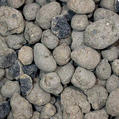 Grow!T Gmc10L - 4Mm-16Mm Clay Pebbles, Brown, (10 Liter Bag) - Made From 100% Natural Clay, Can Be Used For Drainage, Decoration, Aquaponics, Hydroponics And Other Gardening Essentials #TOP5