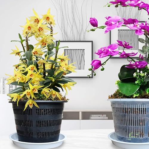 Miniatura 2 de 5 juegos de lavabo colgante montado en la pared flor orquídea plantación cadena cesta maceta titular cestas colgantes cesta al aire libre colgante