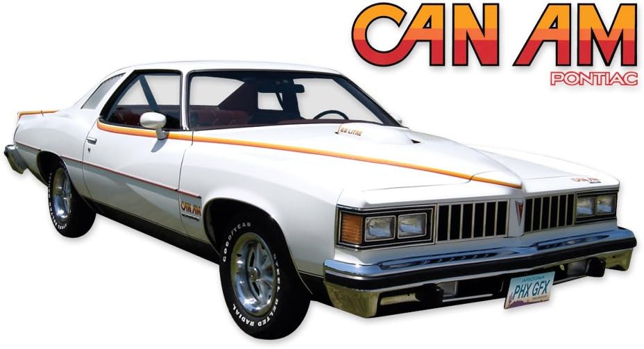 Replacement for 1977 Pontiac Lemans Can Am Decals & Stripes Kit - RED/Orange