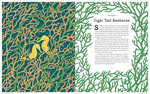 A Wild Child's Guide to Endangered Animals