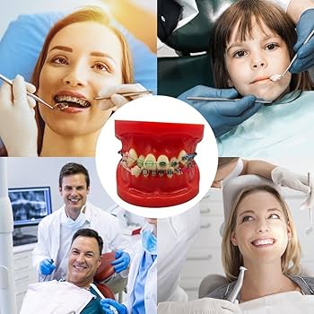 SALE～歯科、歯列矯正の本 SALE～歯科、歯列矯正の本 SALE～歯科、歯列矯正の本