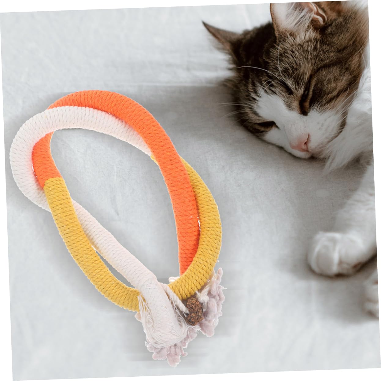 INOOMP 15pièces Jouets à Mordre pour Chats Jouets Interactifs Corde à Chat pour Éveiller Instinct De Jeu Nettoyage Intérieur
