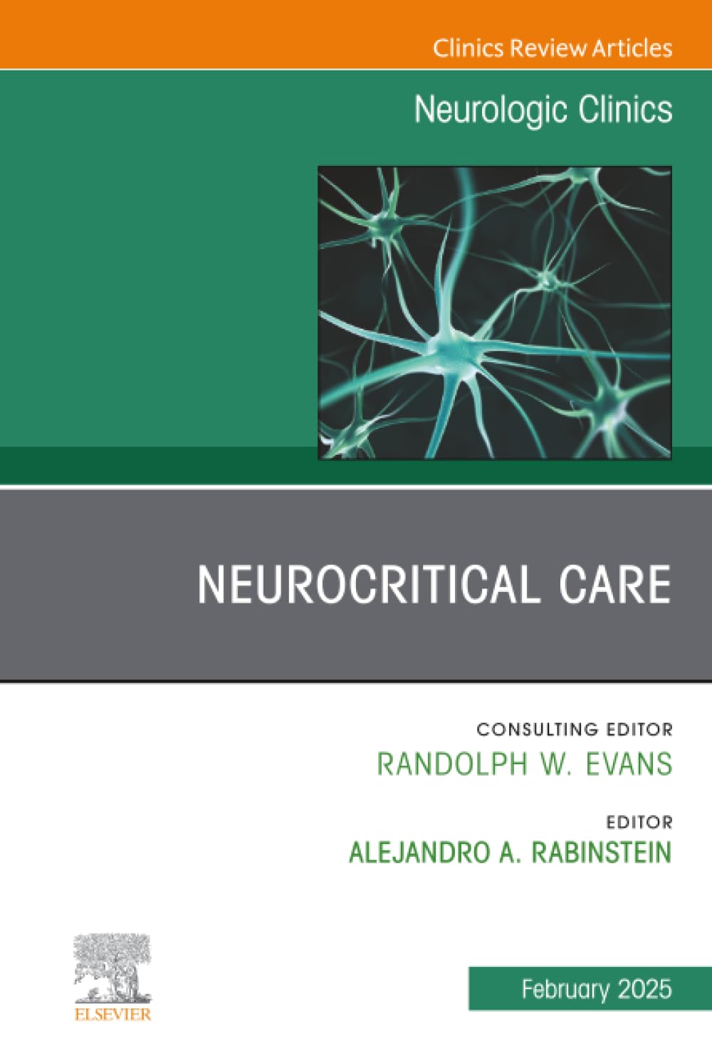 Neurocritical Care, An Issue of Neurologic Clinics by Alejand... - 9780443130731