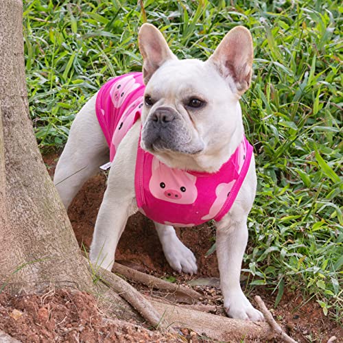 Image of CuteBone Dog Shirts 2-Pack Soft Pet Clothes Breathable Summer Vest for Small Puppy and Stretchy Cat Apparel