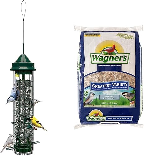 Squirrel Buster - Comedero clásico para pájaros a prueba de ardillas con 4 puertos de alimentación, capacidad de semillas de 2.4 libras y Wagner's