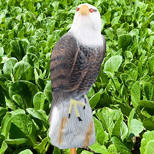 Owl Decoys To Scare Birds Squirrels Away,2023 Upgraded Fake Bald Eagle Decoy,Garden Owl Decoy To Scare Birds Away Deterrent,Eagle Bird Deterrent Devices Outdoor,Moving Owls For Garden Yard Protection #TOP23