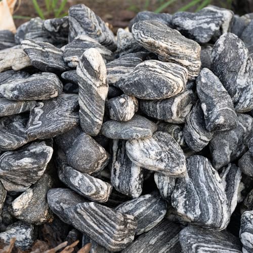 Image of Silver Seiryu Rock Aquarium Rocks 40lb Natural Mountain Stone for Fish Tanks, Aquascaping, Terrariums, Bonsai, Garden Landscaping & Reptile Habitats(2-10inch 12-14Pcs)