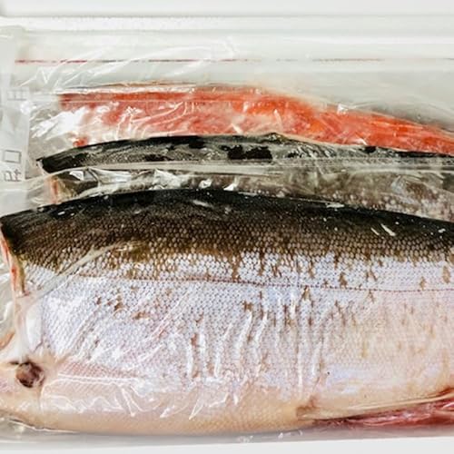 gÉ 8kg(8O)yVRgEƖpKzٓEɂEЂEjGɁyⓀցz