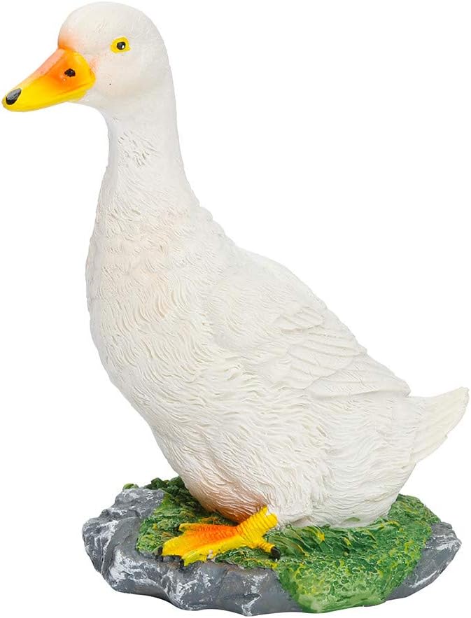 piastra in vetro per piante