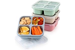 4 Pack Collapsible Snack Containers with Lids