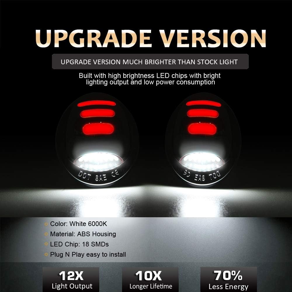 D-Lumina LED License Plate Lights Assembly with Red OLED Neon Tube Compatible with F150 F250 F350 F450 F550 Superduty Ranger Explorer Bronco Excursion Expedition Pickup Truck, 6000K White 2-Pieces