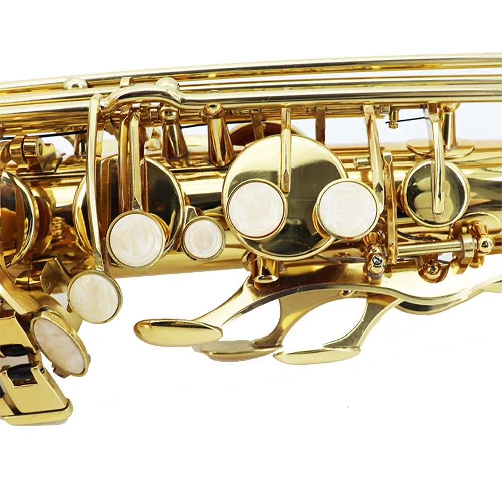 Sassofono tenore in SIB Sax Corpo in Ottone Dorato Strumento a fiato per Principianti Sax Contralto Professionale con Custodia per Il Trasporto Guanti Panno per la Pulizia