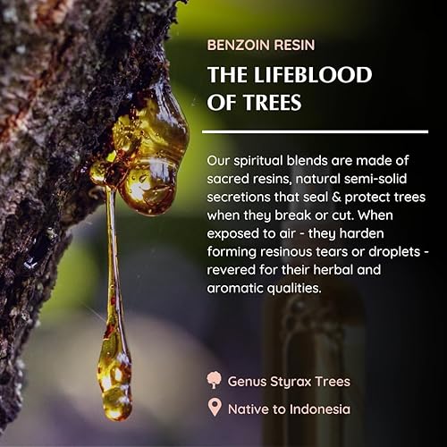 Miniatura 4 de Aromafume Espray de resina natural de benjuí, 3.3 onzas, ideal para espiritualidad, oración y rituales, fabricado con resina de benjuí de Indonesia,