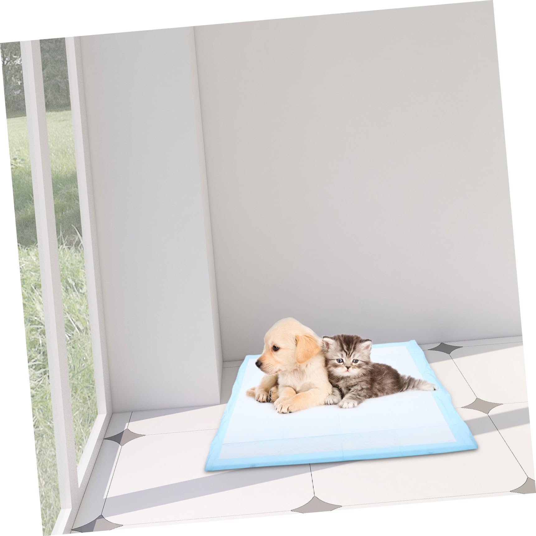 Empapadores para Perros Almohadillas para Cachorros De Absorbentes Instantáneamente para Entrenamiento y