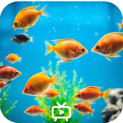 Aquarium Simulator | Underwater Screensaver For Fire TV | Nature Sound & Calming Music