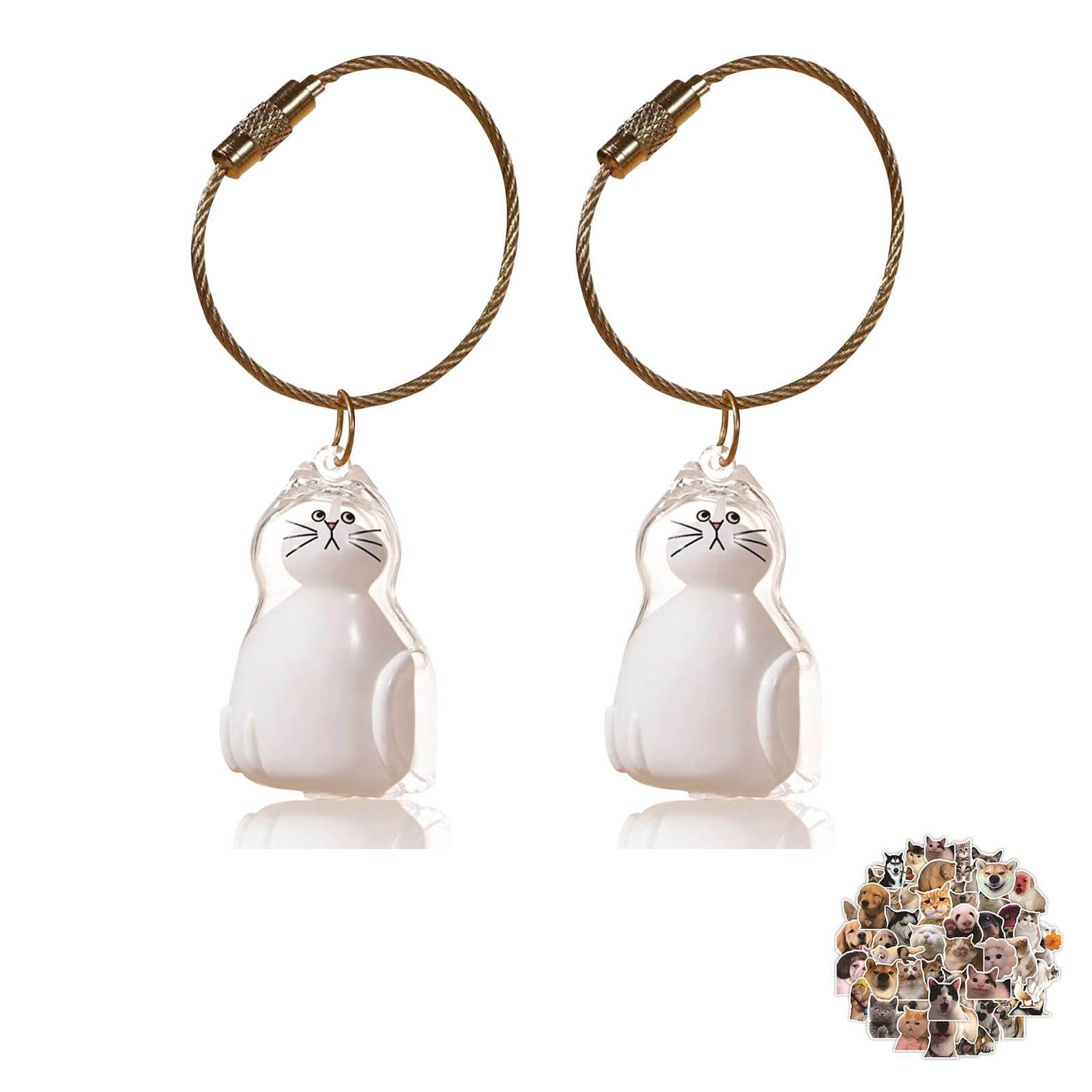 Cat Hair Storage Bottle, 2PCS Keychain for Collecting Cat and Dog Hair, Cute Pet Memorial Gifts