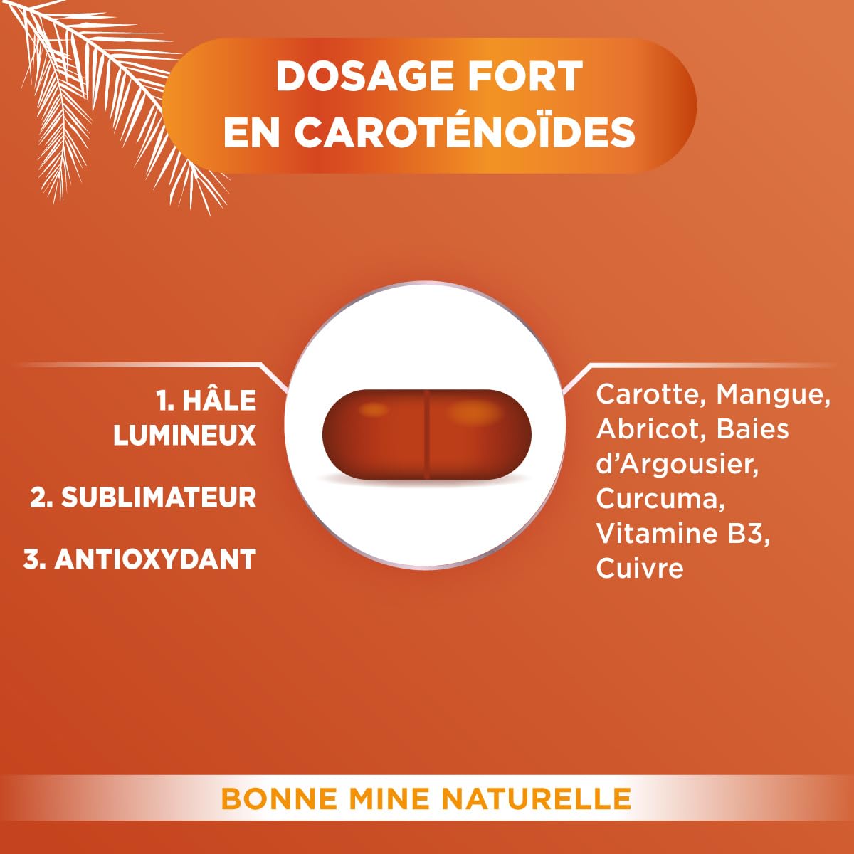 Forté Pharma - Expert Autobronz - Complement alimentaire bronzage, Hâle naturel & Autobronzant sans soleil - Cuivre, Carotte, Mangue, Abricot, Cucruma, Vitamine B3-1/jour, 60 jours