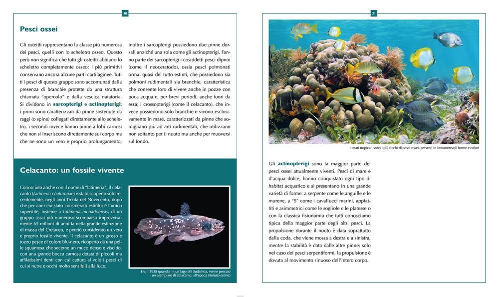 L'enciclopedia dei pesci. Ediz. a colori