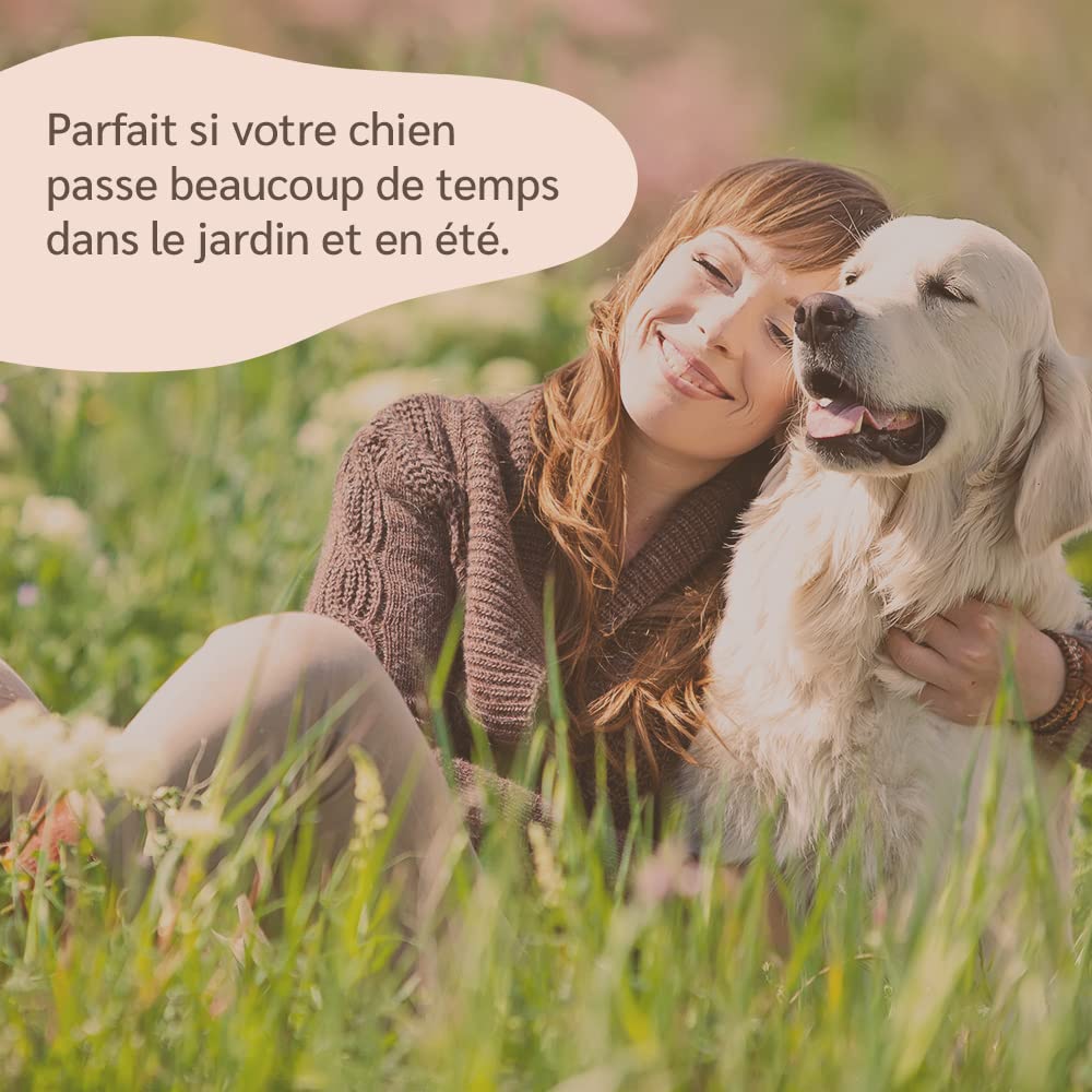 amusi Huile de Neem pour Chiens - 500 ML - Spray Répulsif - Protection 100% Naturelle - Spray Contre Les tiques, Mouches, acariens, poux - Répulsif pour Chiens - Huile de neem