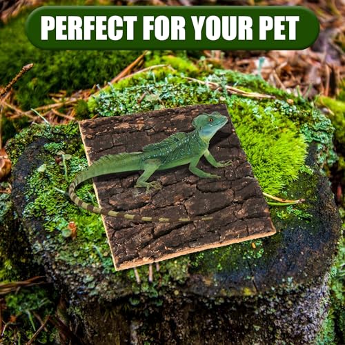 Image of Cork Bark for Terrarium,4Pcs 5.9x5.9In Cork Bark for Reptiles Terrarium Background Accessories