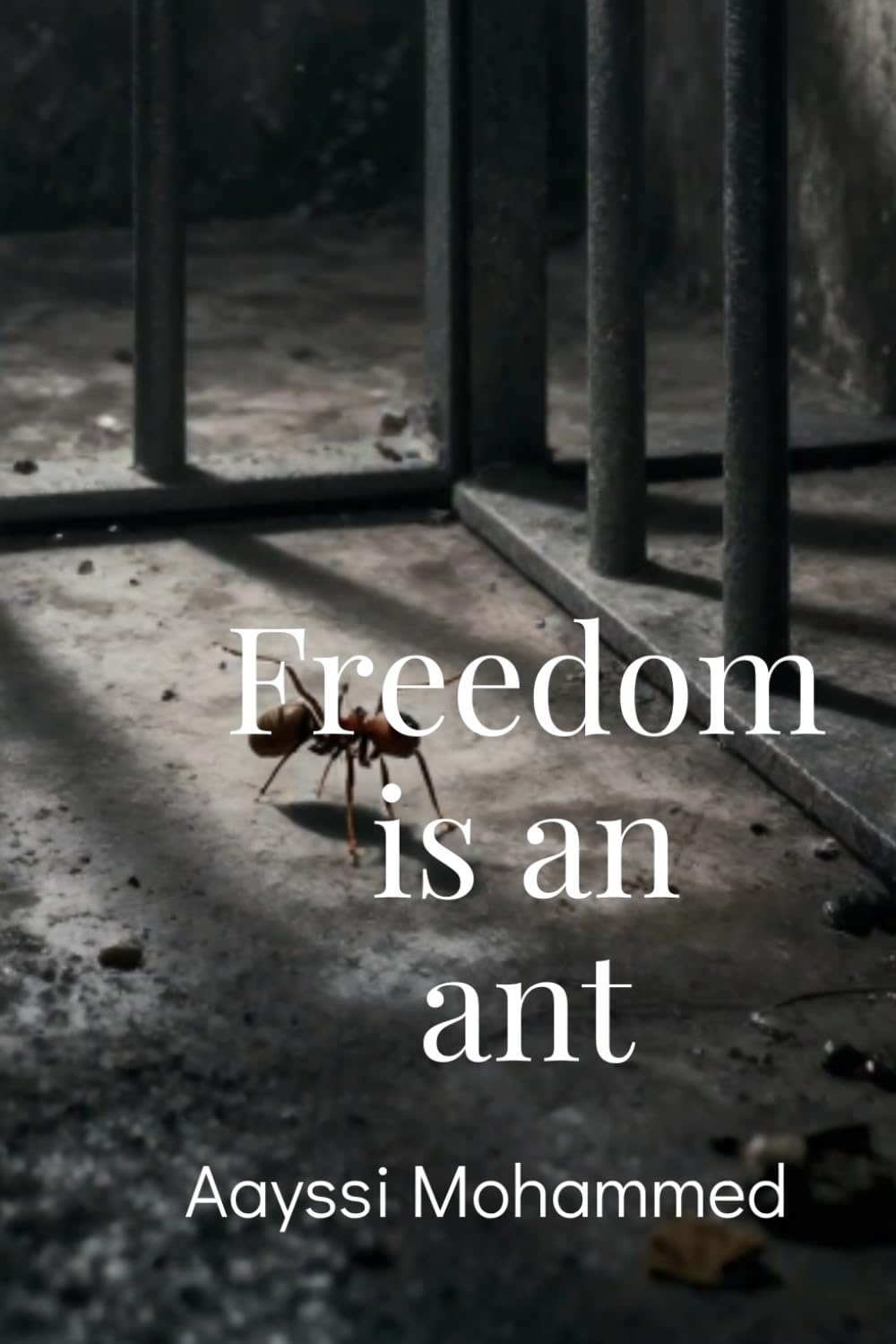 Freedom is an Ant: From the mountain to prison, from the duoble life to peace. Memoirs of Abderrahman.