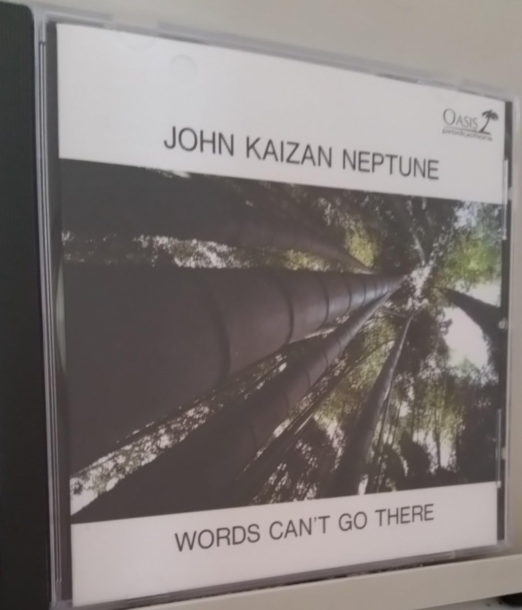 Words Can't Go There by Neptune, Shakuhachi Amazon.co.uk CDs & Vinyl