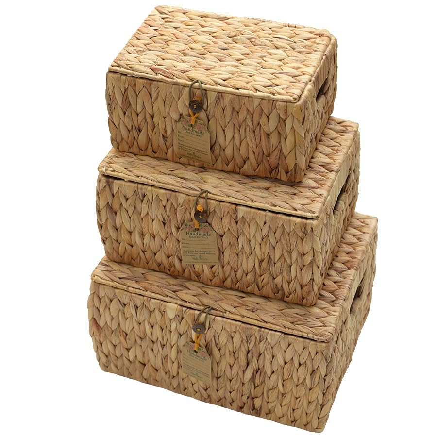 VISTA UNIQUE Water Hyacinth Woven Storage Baskets with Lids, Set of 3