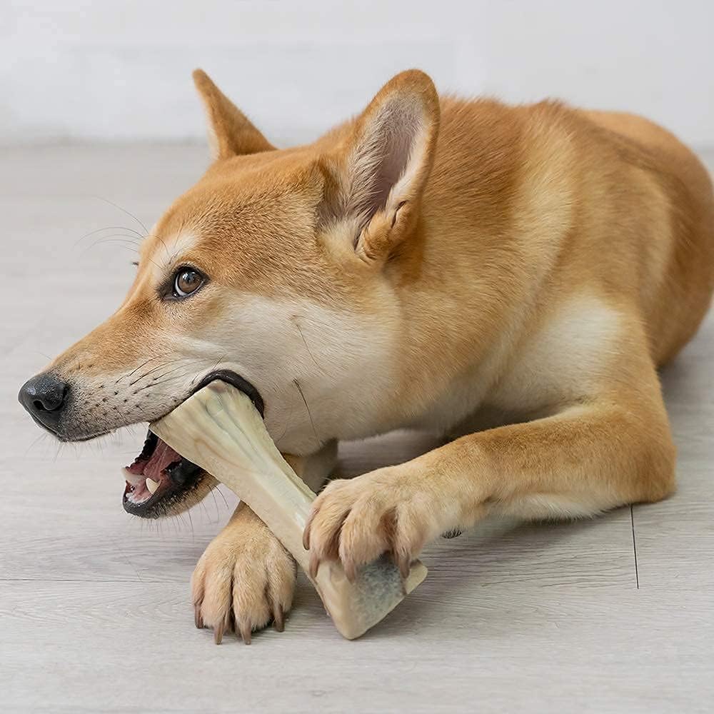 Dog Toys for Aggressive Chewers Durable Dog Toys Made with Nylon Tough Dog Toy for Large Medium Dogs Teething Puppies Nylon Dog Bone (2pc, Large)