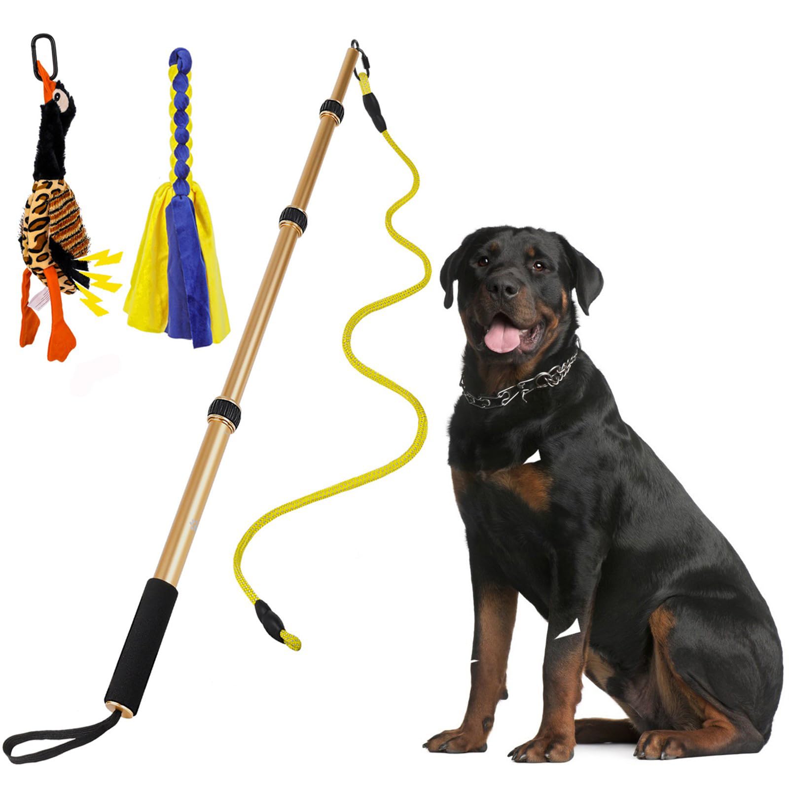 Teaser per cani espandibile in lega di alluminio resistente, facile da riporre, portatile e multifunzionale ovunque