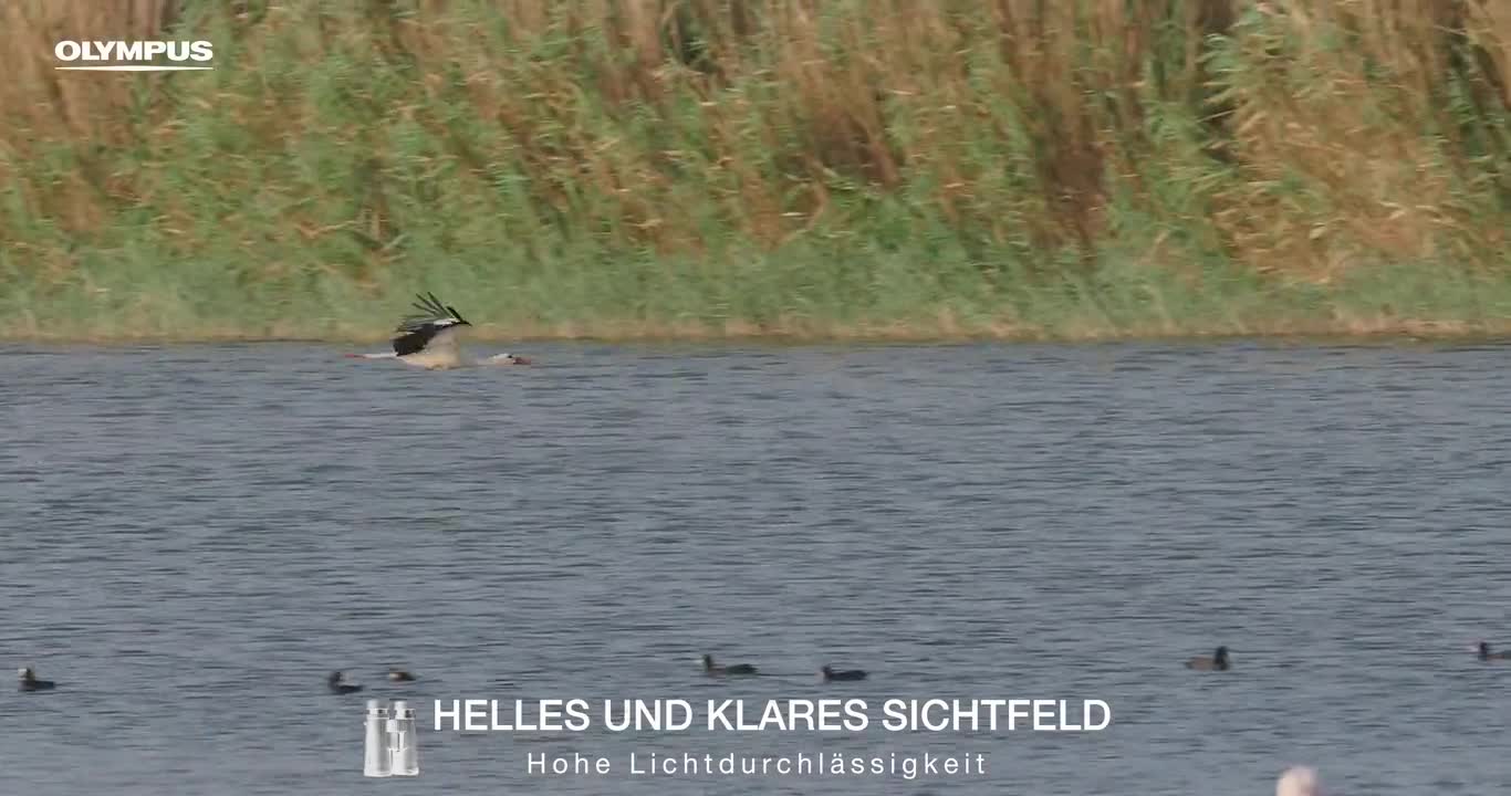 Olympus 8x42 PRO binoculars, bright, high contrast, robust, waterproof, fog-free, slim, simple design - ideal for travel, hiking, sports and nature observation even at close range – Bild 8