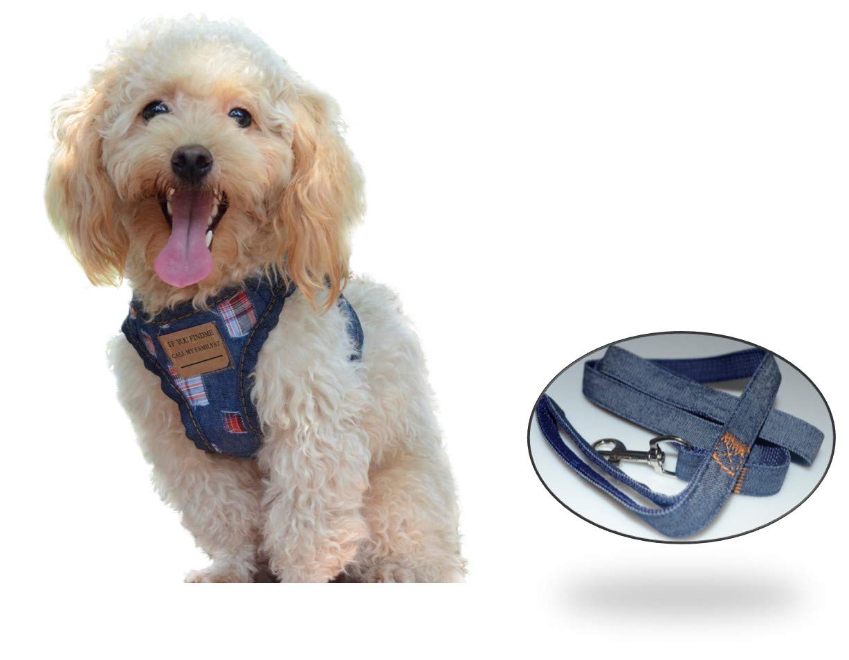 Dog Harness No Pull No Choke Dog Harness & Leash Set Small Dog, Adjustable Pet Tag, Perfect Training, Walking (X-Large)