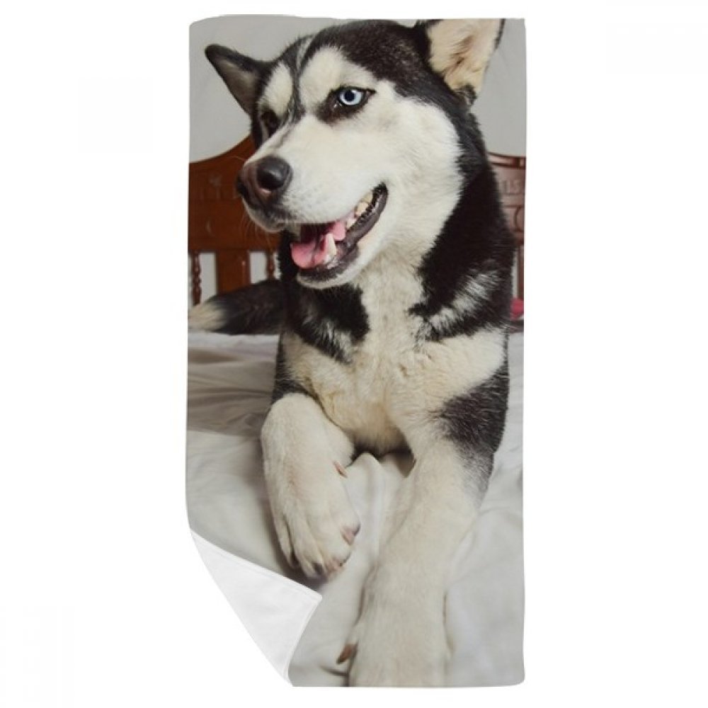 Serviette de bain Husky 35x70cm idéale pour la toilette du chien