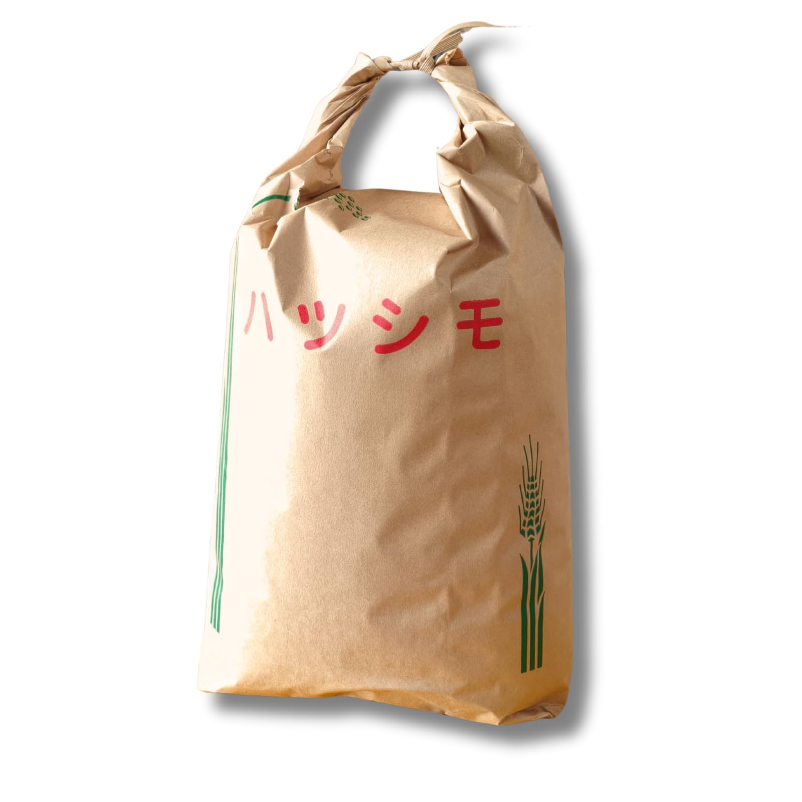 Amazon.co.jp: 愛知県産 ハツシモ 令和7年産 新米, 白米 : 食品・飲料