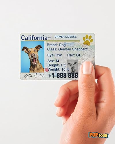 Miniatura 7 de Etiqueta de licencia para perro, etiquetas de identificación de licencia de conducir de mascotas, etiquetas de nombre de perro, etiquetas