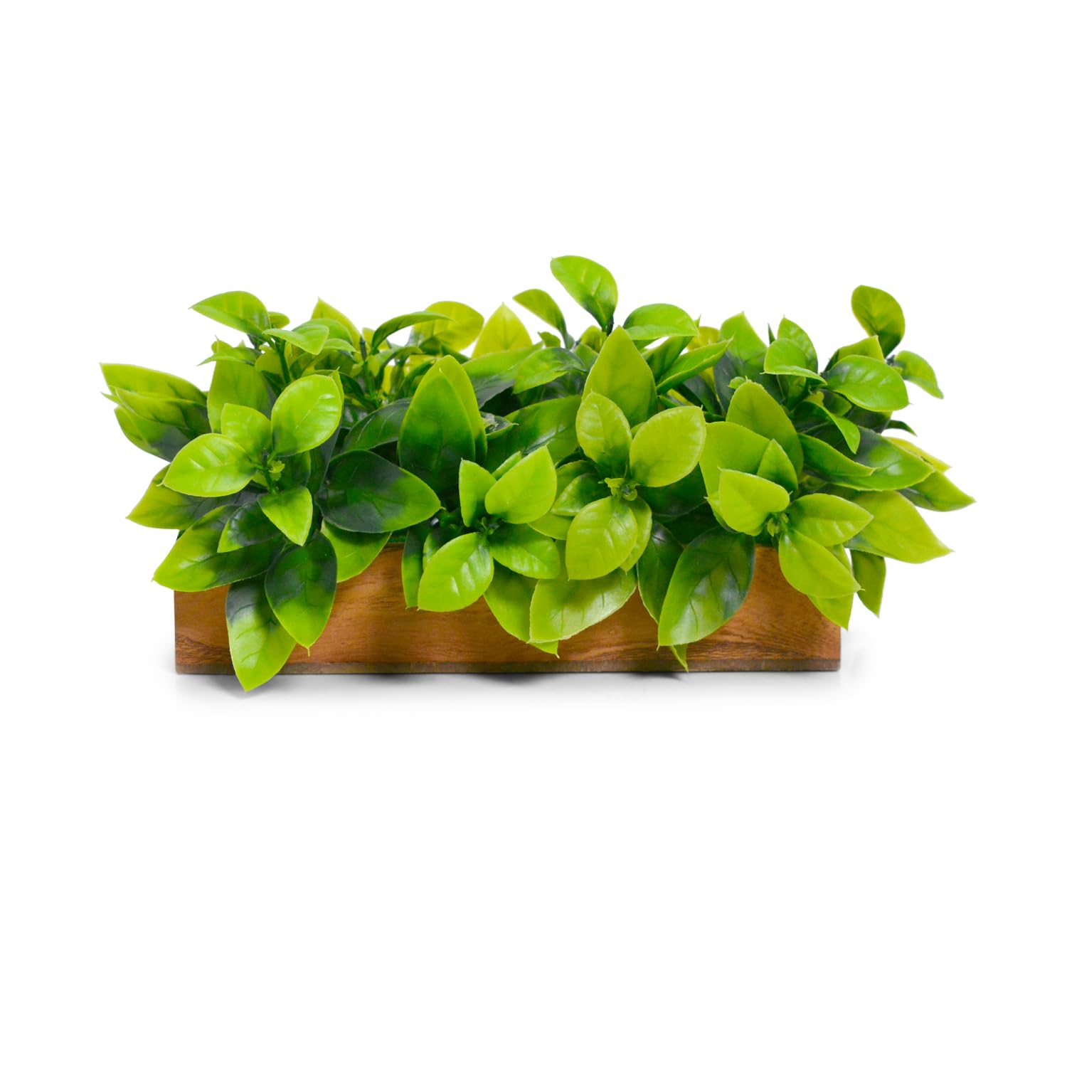 DecoreBugs Artificial Plant Leaves in Wooden Rectangular Tray, Home décor Items for Decoration Height 11cm x Width 20 cm DB-8156 DecoreBugs Artificial Plant Leaves in Wooden Rectangular Tray, Home décor Items for Decoration Height 11cm x Width 20 cm DB-8156