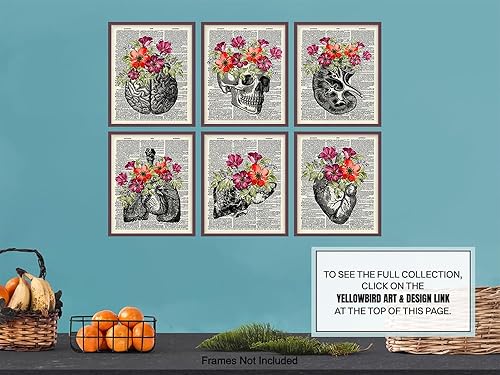 Miniatura 9 de Heart, Skull, Brain, Lungs, Kidney, Liver Wall Art Decor - Human Anatomy Room Decorations - Medical Office Decor - Shabby Chic Gift for for Doctor,