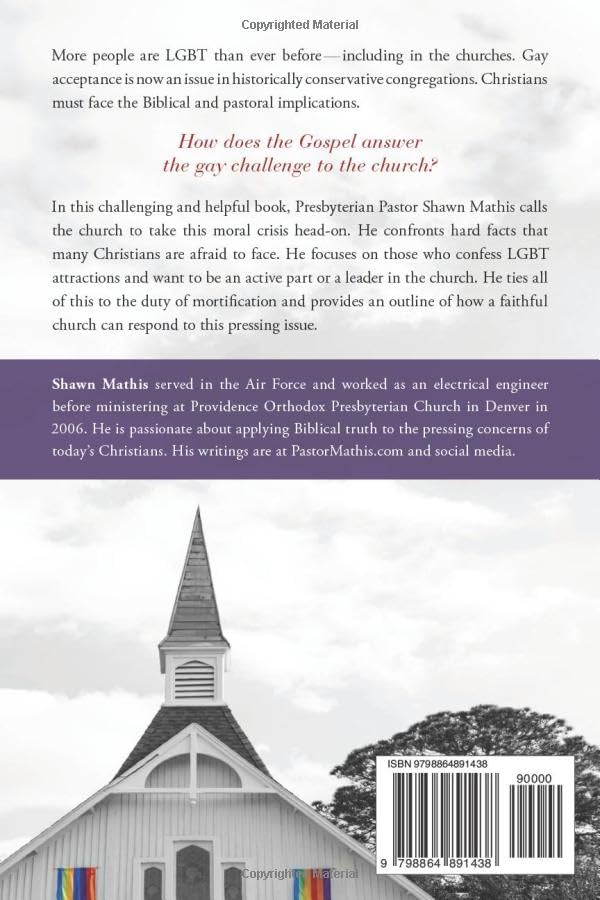 Miniatura 2 de Is the Church Pro-Gay How to Respond to a Moral Crisis with God's Love