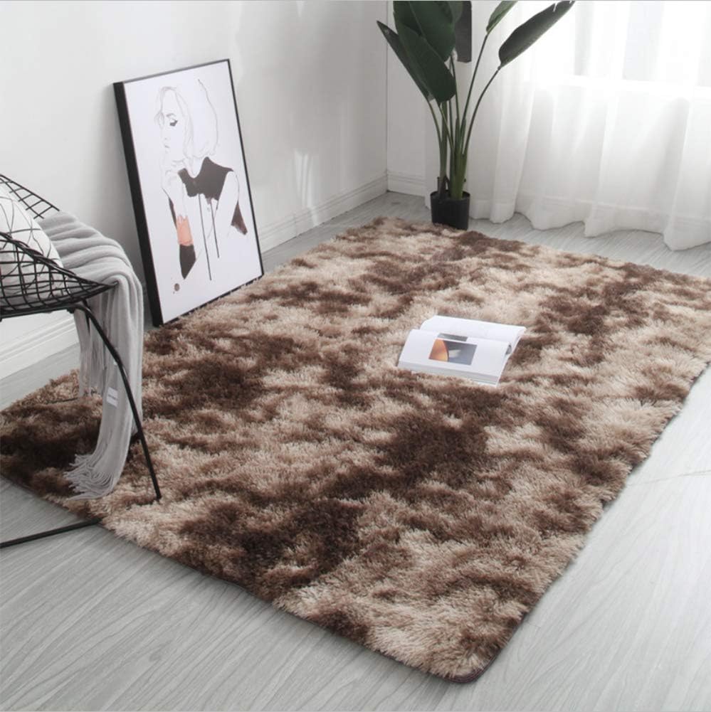FlashLTD Fluffy Ultra Soft Shaggy Area Rugs for Bedroom Fluffy Carpet for Kids Room Bedside Nursery Mats (Grey White, 2' x 3')