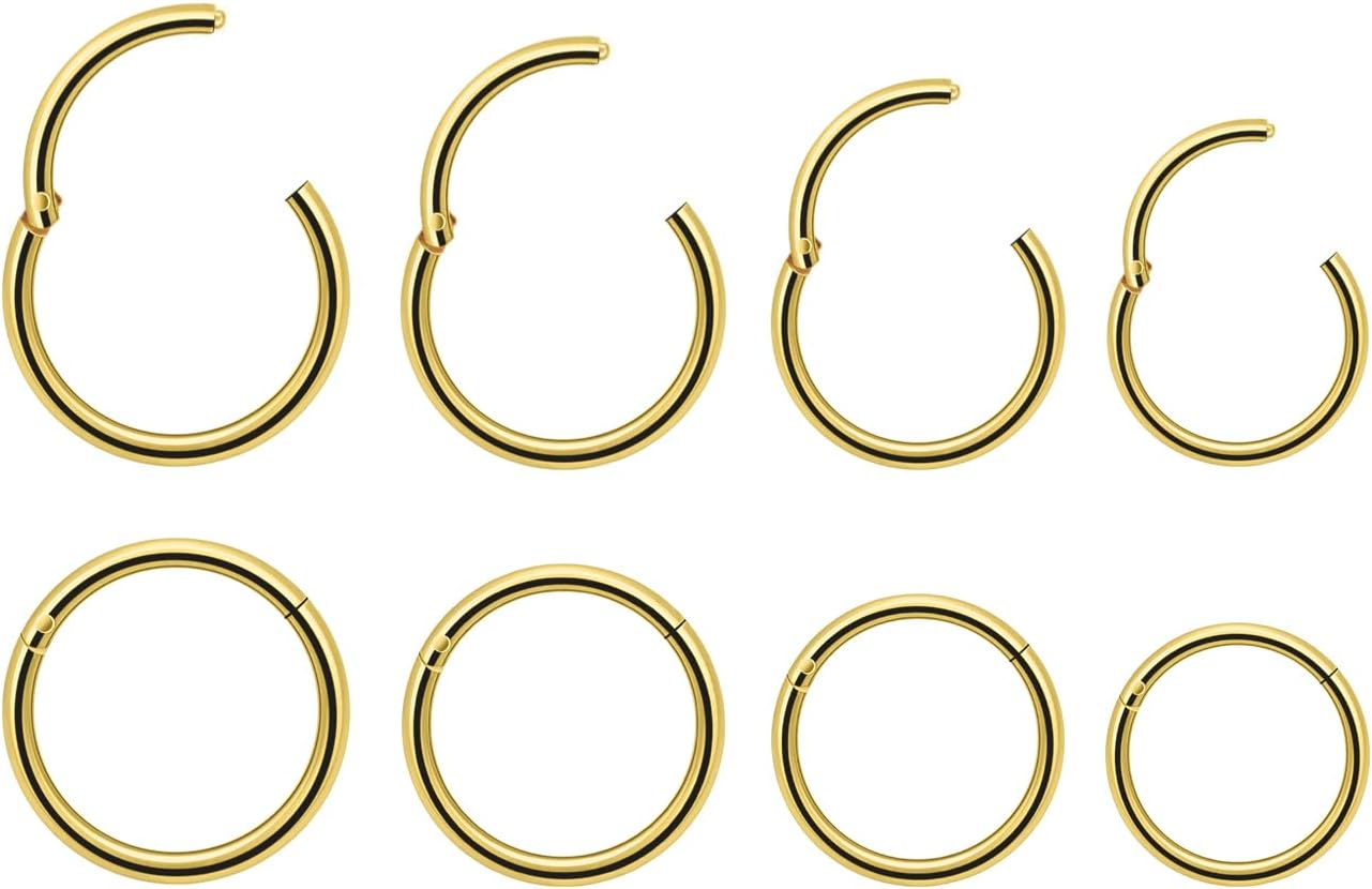 Dyknasz 8PCS Surgical Steel Hinged Clicker Segment Nose Rings Hoops Septum Lip Ring Hoop Cartilage Tragus Helix Sleeper Earrings Piercing Jewelry for Women Men 7mm 8mm 9mm 10mm 20G/18G/16G