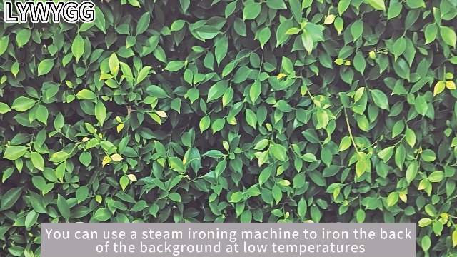 Amazon.com : LYWYGG 7x5FT Vinyl Green Leaves Photography Backdrop