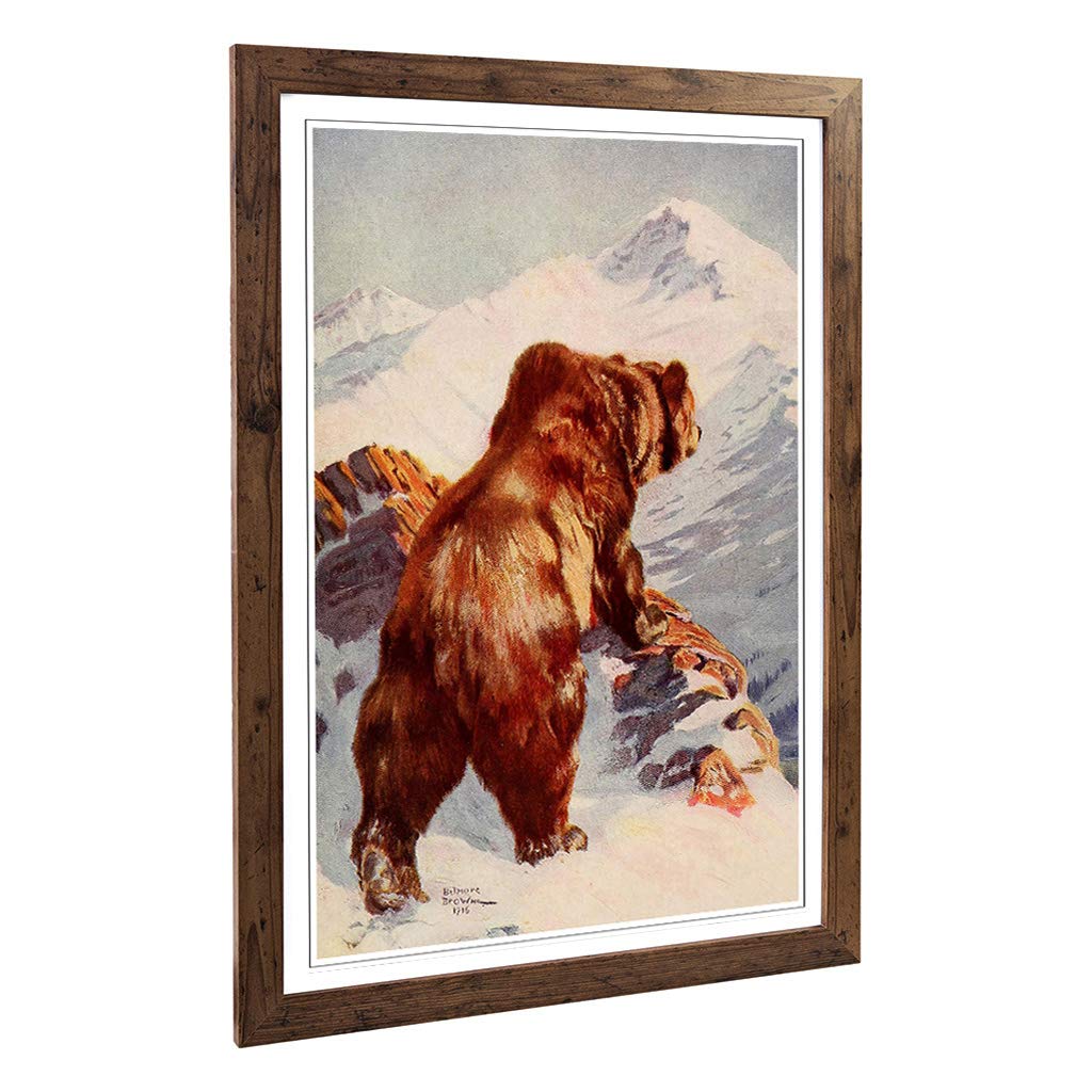 Big Box Art Framed Print of Vintage Belmore Alaska Brown Bear Design | Wall Art Picture | Home Decor for Kitchen, Living Room, Bedroom, Hallway, Walnut, A2 / 24.5x18 Inch / 62x45cm