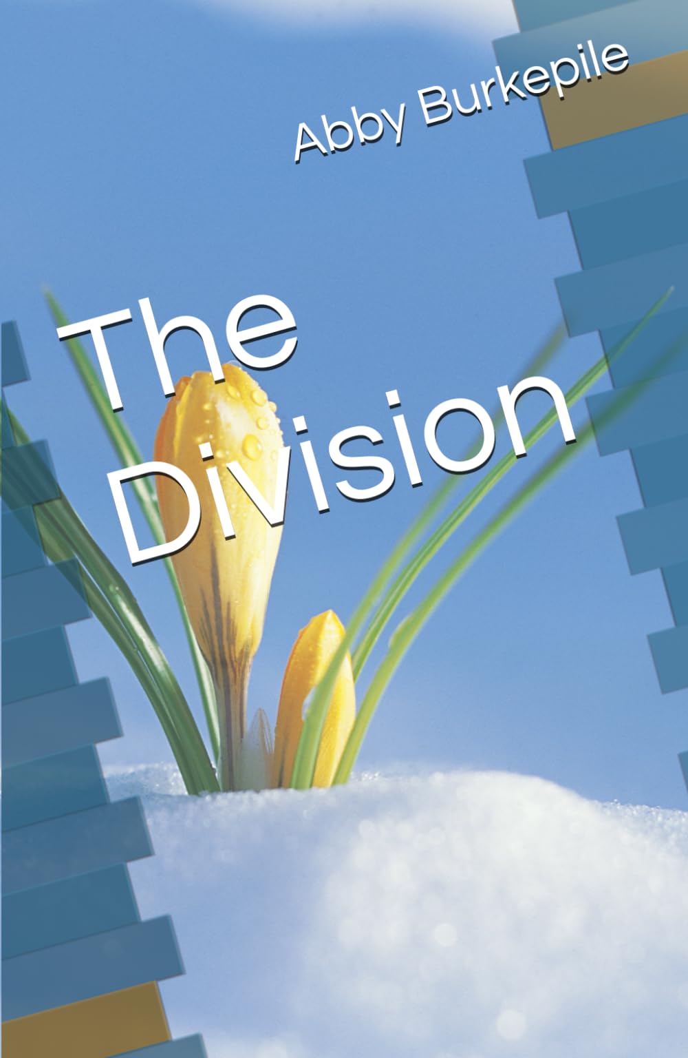 The Division