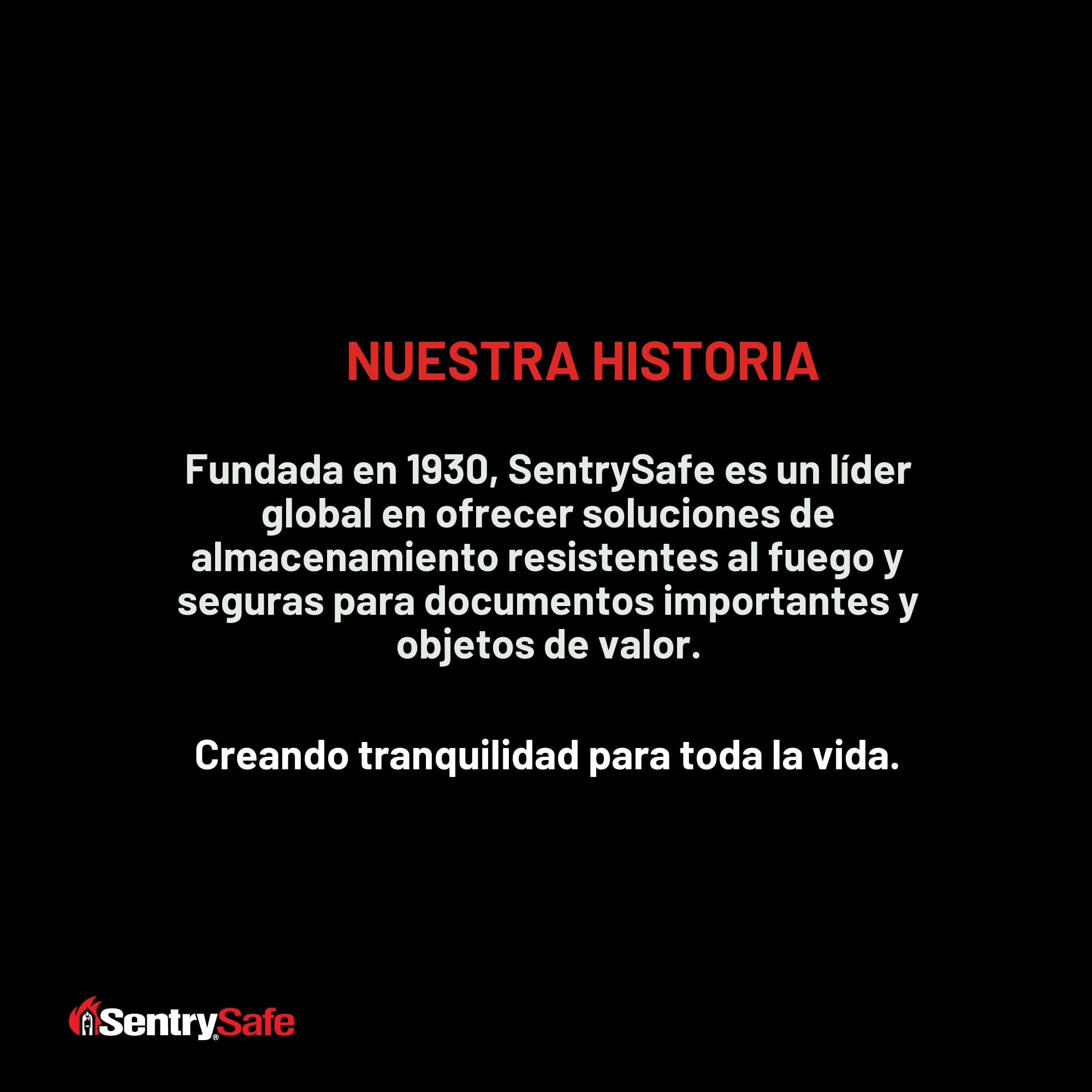 Sentry Safe SENCFW20201 Cofre de Documentos y Medios Impermeable a Prueba de Fuego, Negro, 32.5cm