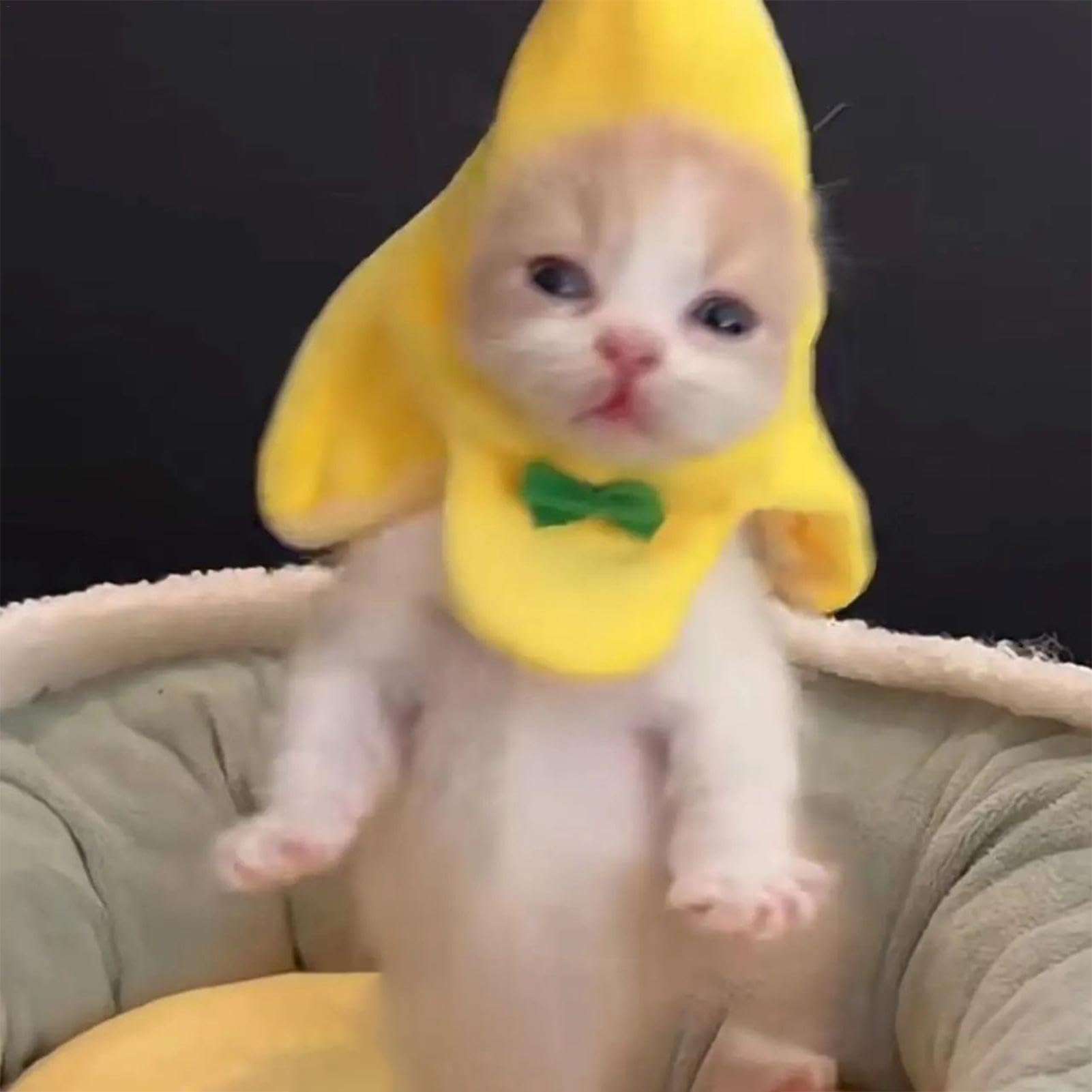 Cappello A Banana Per Gatti E Cani - Divertente Copricapo Per Animali, Costume Halloween