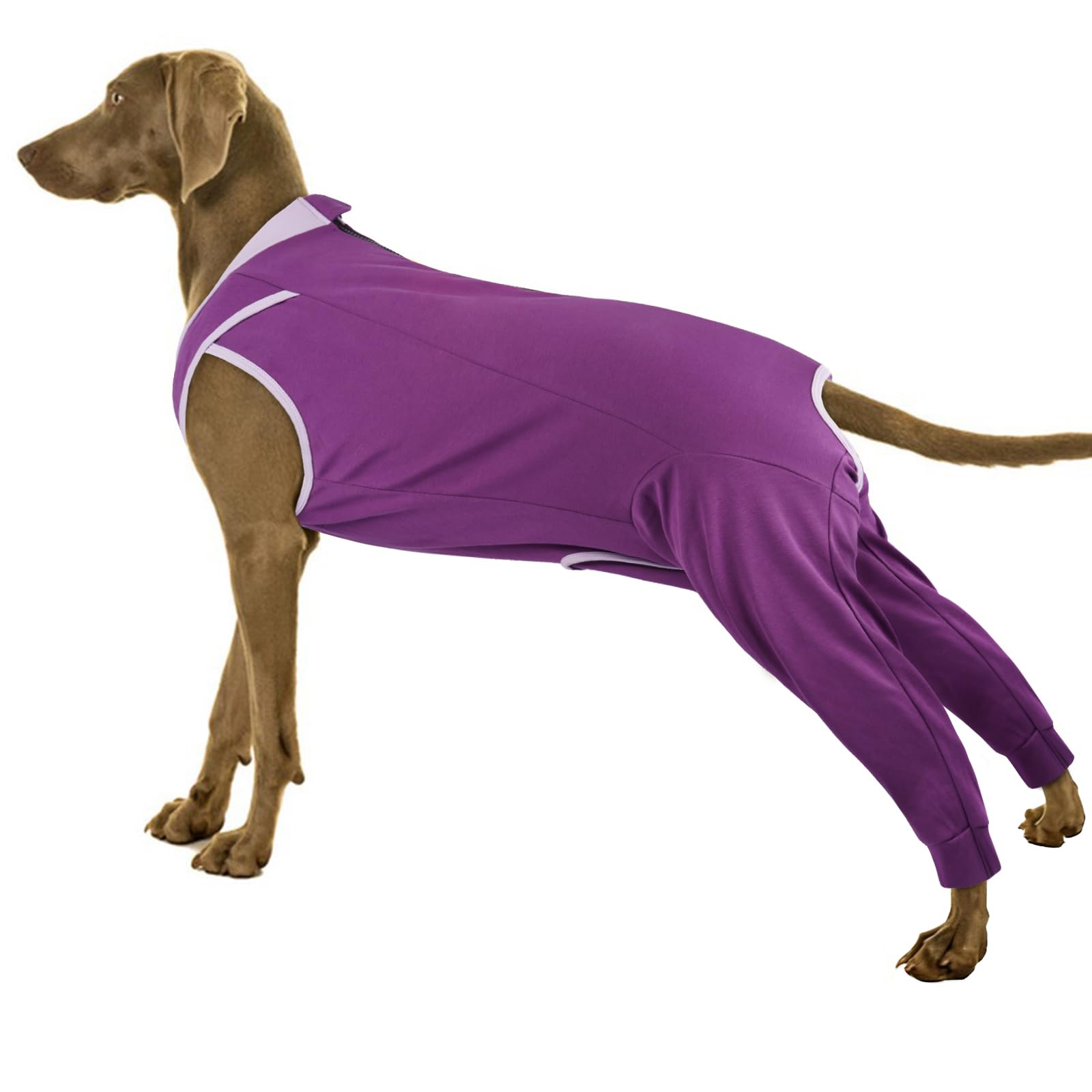 PUMYPOREITY Dog Post Surgery Body Suit, Light Operation Recovery Suit Female Dog Anti Licking Sleeve after Post Op Knee Surgery to Stop Licking(Purple, 2XL)